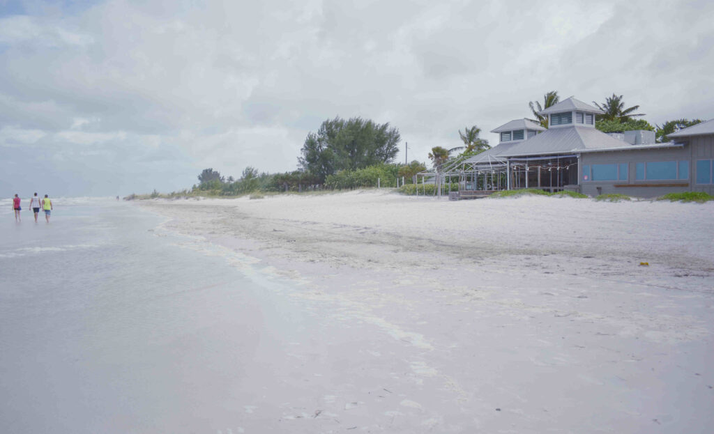 Elsa takes it easy on Anna Maria Island