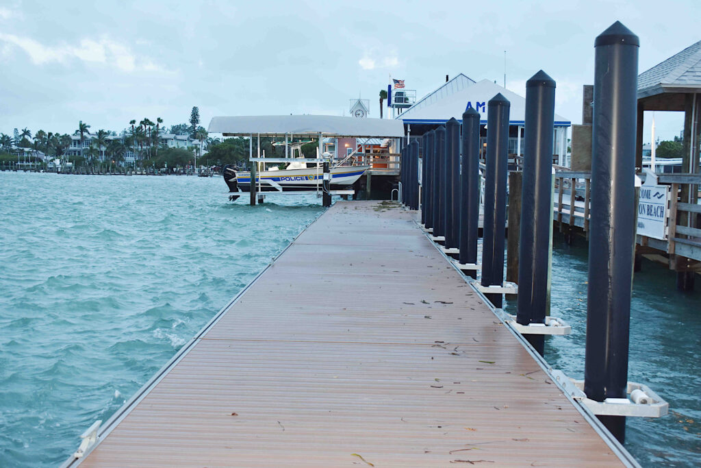 Elsa takes it easy on Anna Maria Island